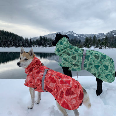 Autumn And Winter Quilted Snow Warm Dog Ski Suit