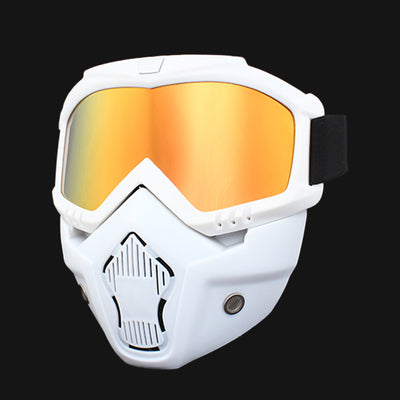 Ski Wind Protection Goggles